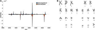 Data-Driven Supervised Learning for Life Science Data